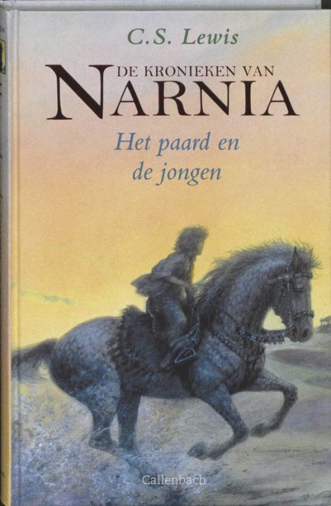 Het paard en de jongen